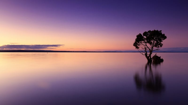 Sunset Tai Chi